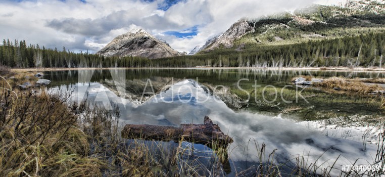 Picture of Buller Pond Panoramic